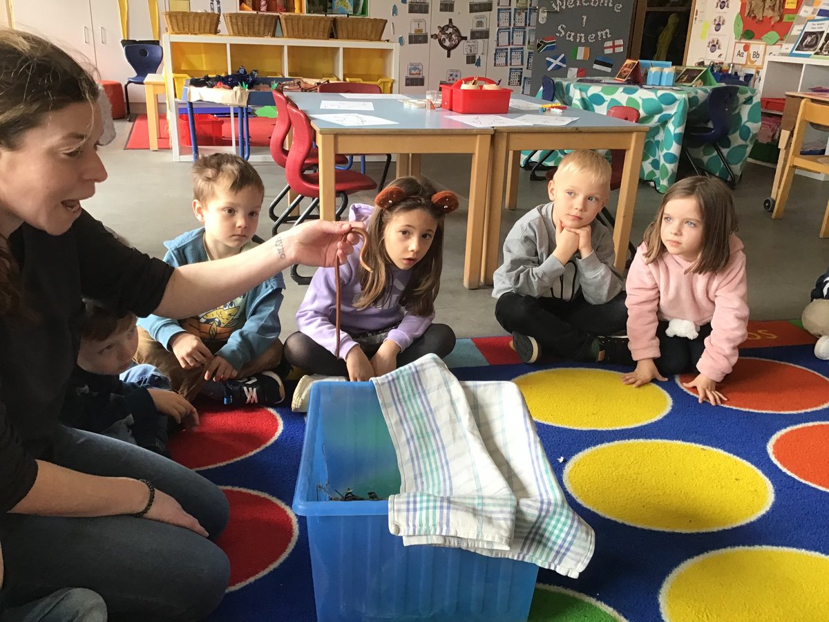 St George's Primary tweet media