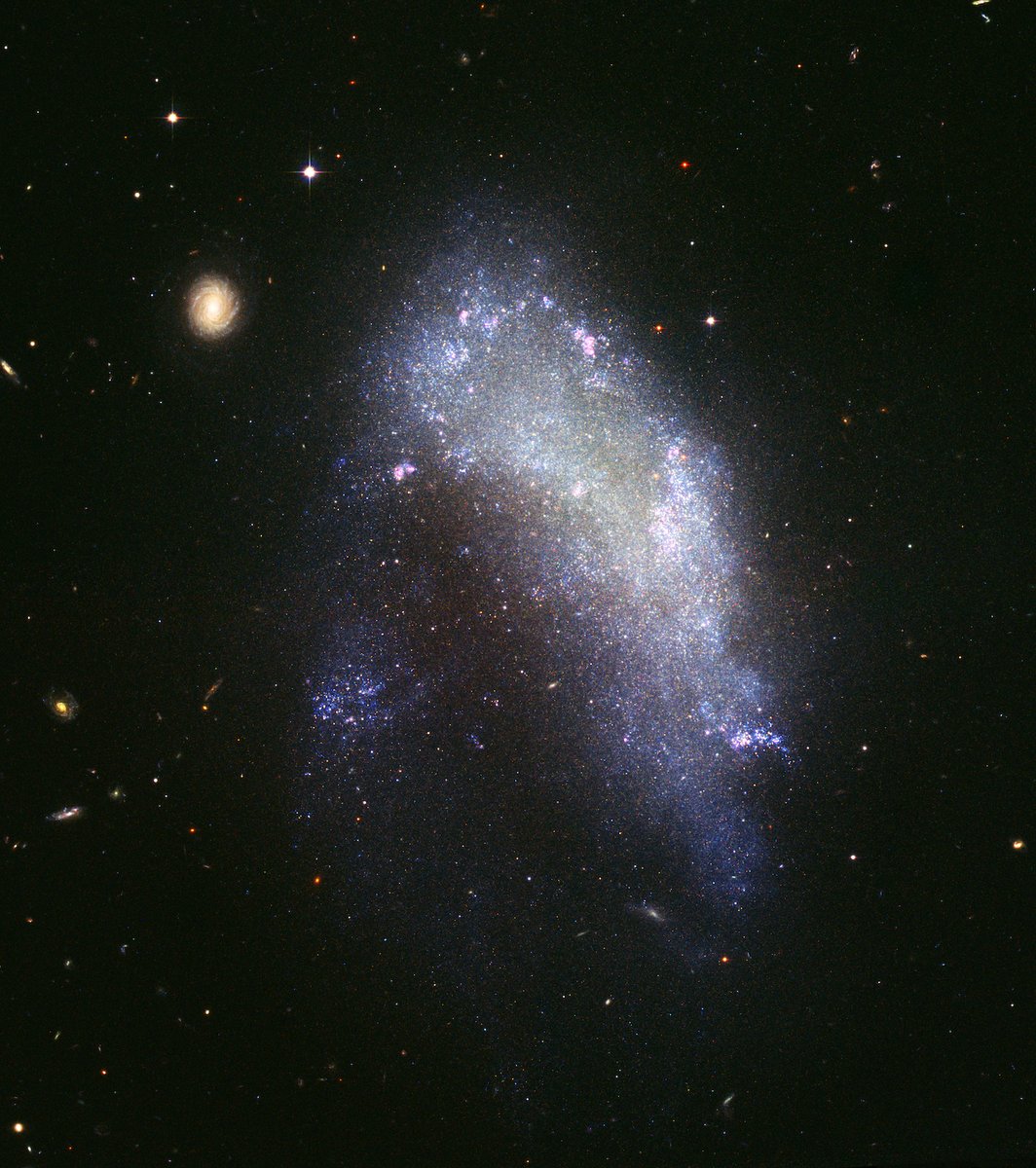 It’s easy to see why NGC 1427A is classified as an irregular galaxy. Its odd arrowhead shape is a result of gas pressure and gravitational forces as it plunges into a group of galaxies at about 1.5 million miles per hour (700 km/s): bit.ly/3SYbOom