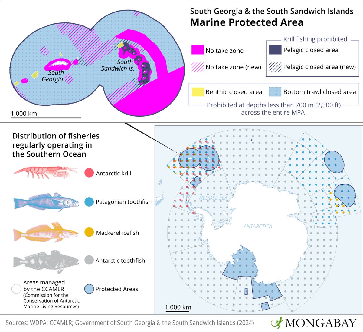 🐳New no-fishing zones in #Antarctic established over existing #MPA. 🦐This measure aims to safeguard #marinewildlife by banning fishing of prey species, enabling the #ecosystem to regenerate. 🔗Read more about this #conservation effort in @mongabay: tinyurl.com/2cbn2uce