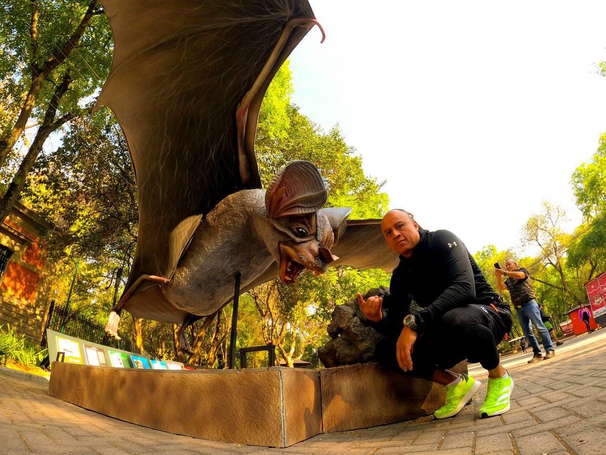 artruction's tweet image. En mi cabeza solo estaba @OzzyOsbourne 🤘🏽😈🤘🏽🦇
Escuchaba #estavivo y a @luisalaouija  y pasaba cerca de aquí... @BosqueFest están de lujo 🦇