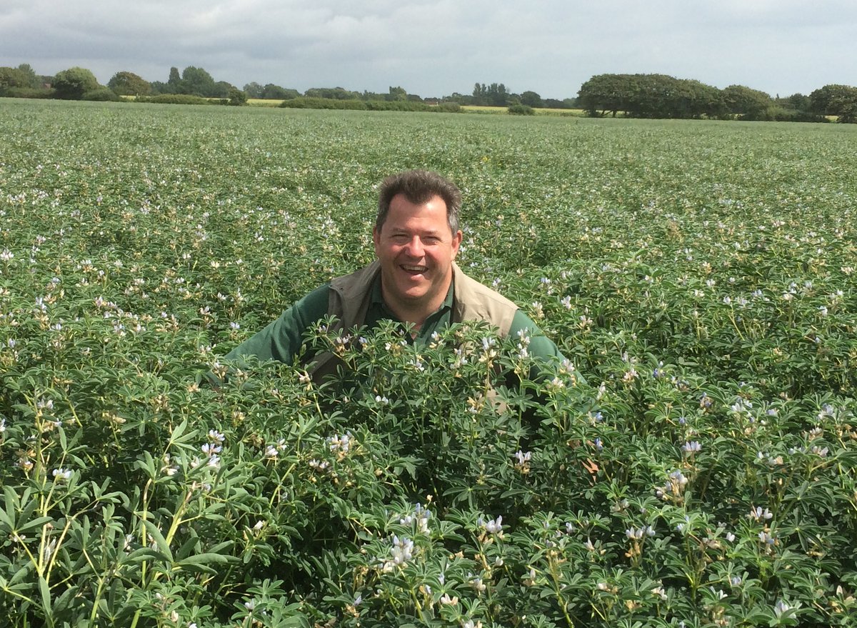Dr David McNaughton, Managing Director of @SoyaUKLtd, has over 30 years of experience in the seed industry

In this interview, we discuss his historical relationship with the Institute in Kyiv, leading to his current work promoting alternative crop seed

➡️ow.ly/gLaH50R2a1C