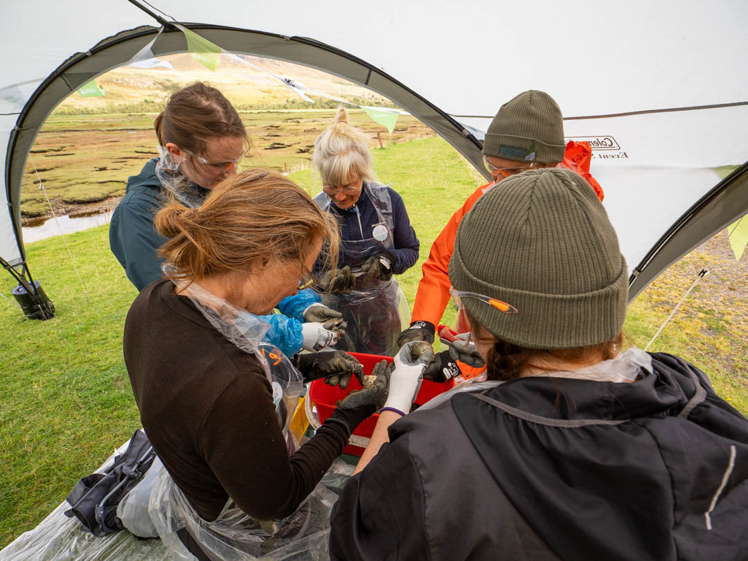 What is happening?! Loads of #RestorationForth #oyster processing events: eventbrite.com/cc/restoration… Do come along and get involved! 🦪