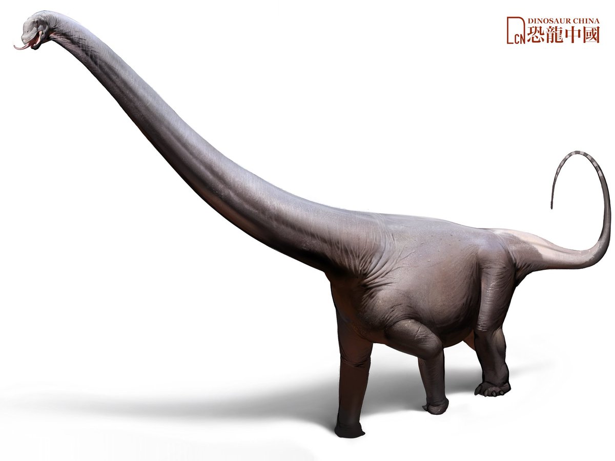 #DinosaurChina “Jingia” dongxingensis