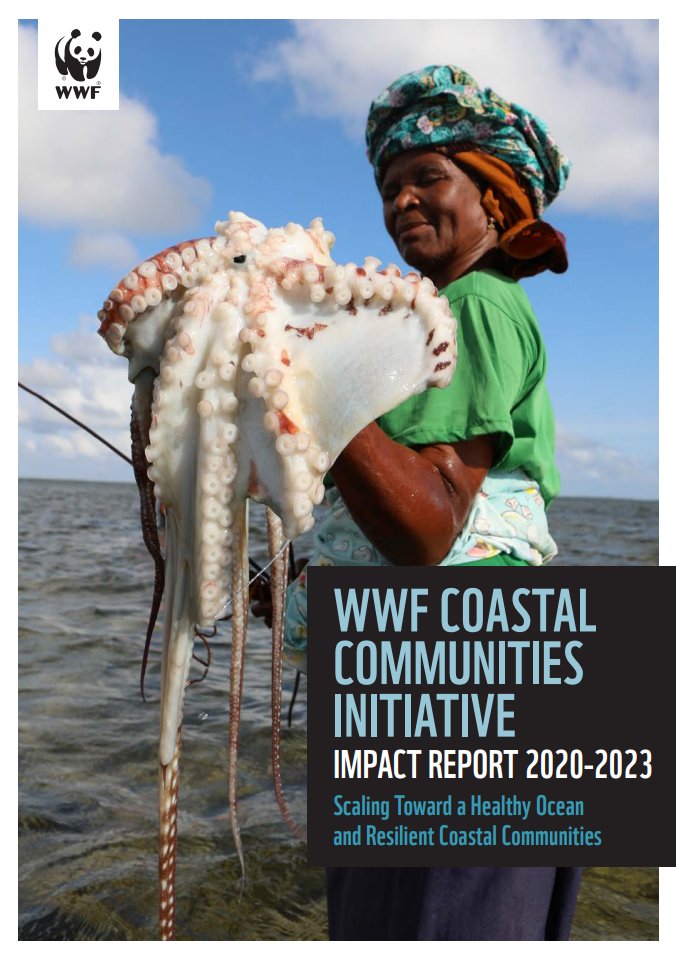 Save Our Mangroves Now! (@mangrovesnow) on Twitter photo Coastal communities are the backbone of successful coastal protection! 🌱
Nevertheless, they are too often excluded from important decision-making processes. The latest publication from <a href="/WWF_Africa/">WWF Africa</a> analyses their impact. 🌊🌍🤝🏿
➡ Learn more: lnkd.in/eujNFpRH
#RootsofHope Coastal communities are the backbone of successful coastal protection! 🌱
Nevertheless, they are too often excluded from important decision-making processes. The latest publication from <a href="/WWF_Africa/">WWF Africa</a> analyses their impact. 🌊🌍🤝🏿
➡ Learn more: lnkd.in/eujNFpRH
#RootsofHope