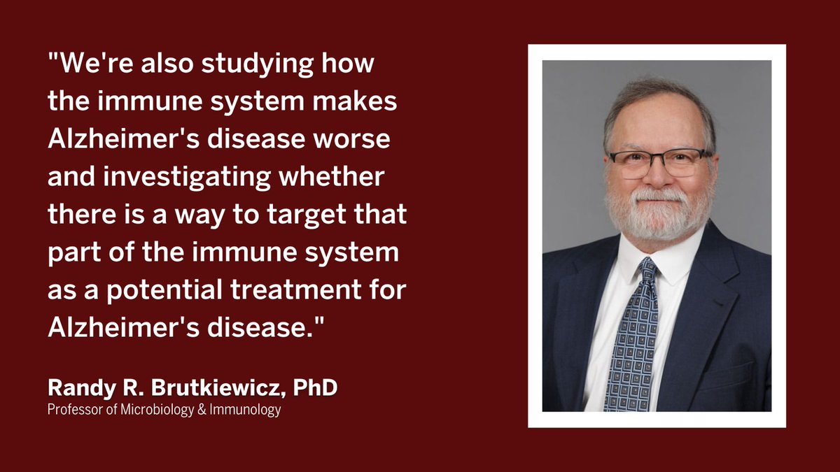 Randy R. Brutkiewicz, PhD, professor of microbiology and immunology at the IU School of Medicine, was recently named a 2024 Distinguished Fellow by @ImmunologyAAI: bit.ly/4cz39jW
