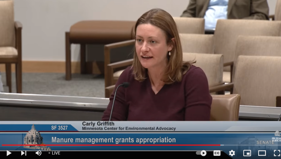 NOW: MCEA is testifying in favor of SF 3527 (@gus_heather), establishing a grant program to help small and medium sized farms manage their manure, potentially matched by fed funds. WATCH: youtube.com/watch?v=NN2t4s…