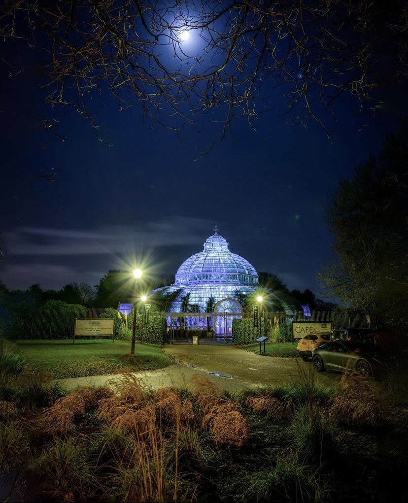 Did you know, @The_Palmhouse is known as the jewel of #SeftonPark? This Grade II listed building is an iconic Victorian glass house featuring a range of stunning plants that represent the 5 continents as well as a fabulous cafe and activity programme😍 📸 @davemort_photography
