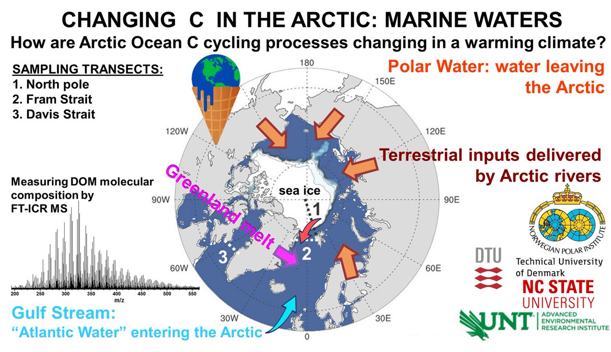 Juliana D'Andrilli, Ph.D. tweet media