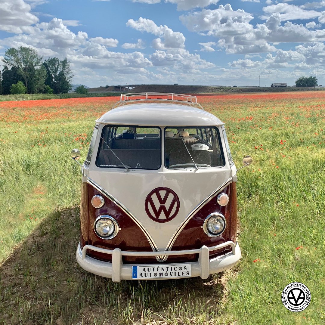 La Felicidad no es el destino, es la Actitud con la que se viaja 👉🏻🚐🫶🏻
.
.
.
#viaje #experiencia #kombi #van #vanlifestyle #autenticosautomoviles