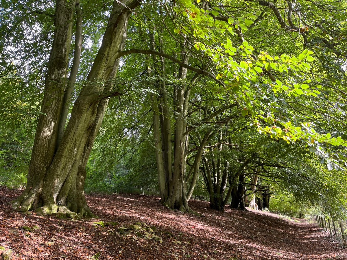 Evesham Rambling Club 🥾🥾 tweet media