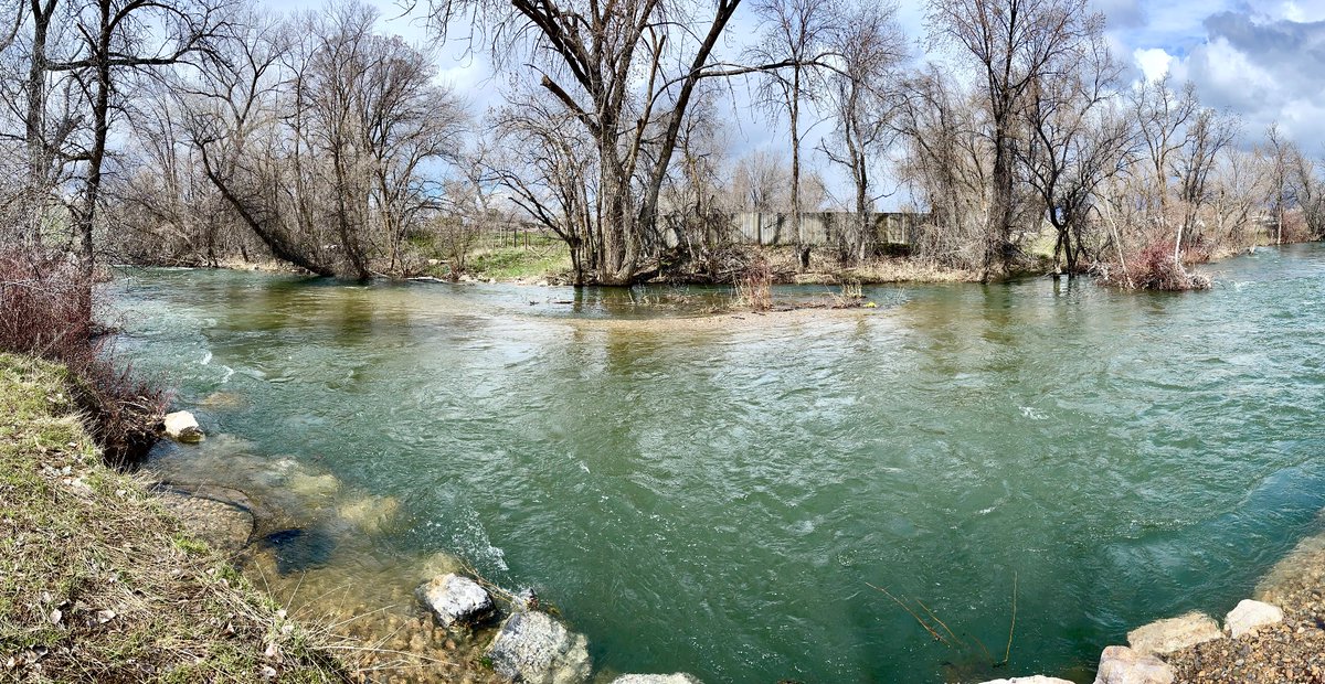 Nice to see the Weber River cranking today. With reservoirs full, all that water is headed to #GreatSaltLake!