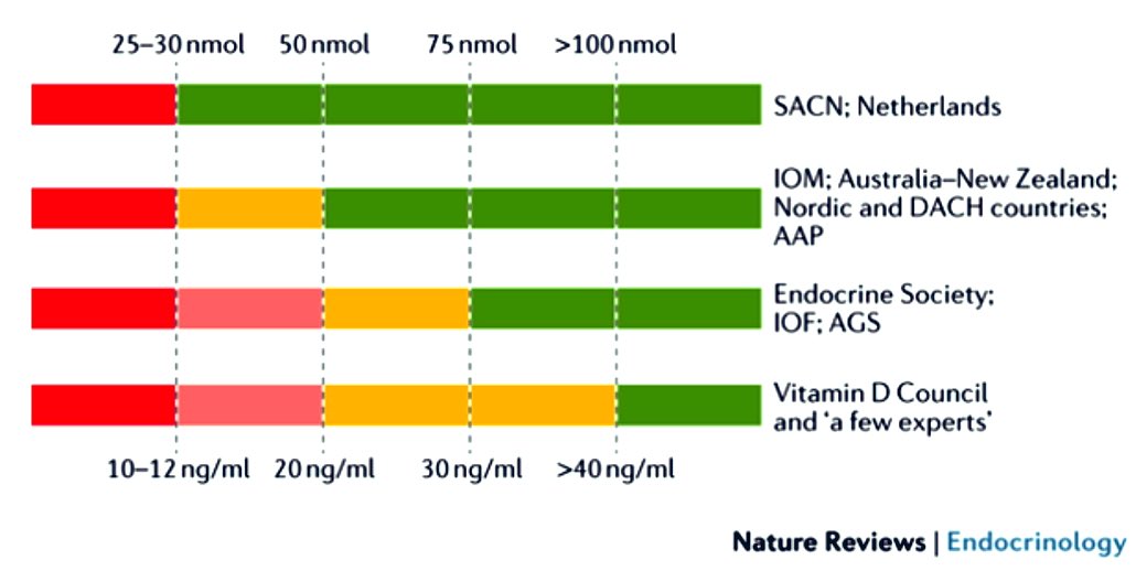 FosterDrugInfo's tweet photo. 🌞#Vitamin_D: Increased #Catabolism

✅These drugs increase #P450_enzyme activity, which metabolizes #calcidiol to inactive vitamin D metabolites:
💊#Phenytoin
💊#Phenobarbital
💊#Carbamazepine
💊#Oxcarbazepine
💊#Isoniazid
💊#Theophylline
💊#Rifampin https://t.co/j8NTGvKrlr