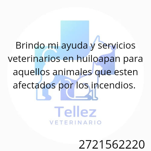 Fer_Ortega25's tweet photo. #ORIZABA #VERACRUZ
#ALTASMONTAÑAS https://t.co/tWIo2LuC4o