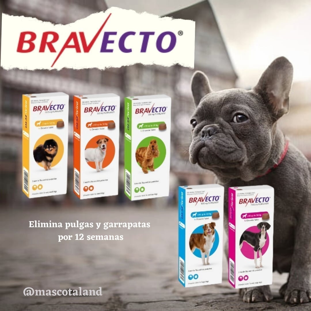 MASCOTALAND1's tweet photo. Solicita tu bravecto para perros evitando así pulgas, garrapatas y mejorando la piel de tu mejor amigo, manténlo sano y no dejes de proteger a tu mascota.... protección por 12 semanas!
Solicítalos y aprovecha el recibir en tu casa u oficina!

#mascotaland #bravecto #promo #perros https://t.co/MyZht1AaYD