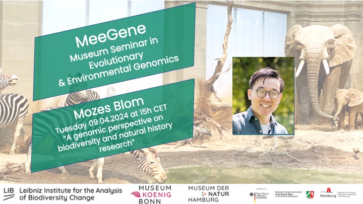 We are happy to host @moosblom from @mfnberlin for our next #MeeGene @Leibniz_LIB seminar on Tuesday 09.04.2024 15h CET. He will talk about 'A Genomic Perspective on Biodiversity and Natural History Research'. To join, drop us an email: meegene@leibniz-lib.de