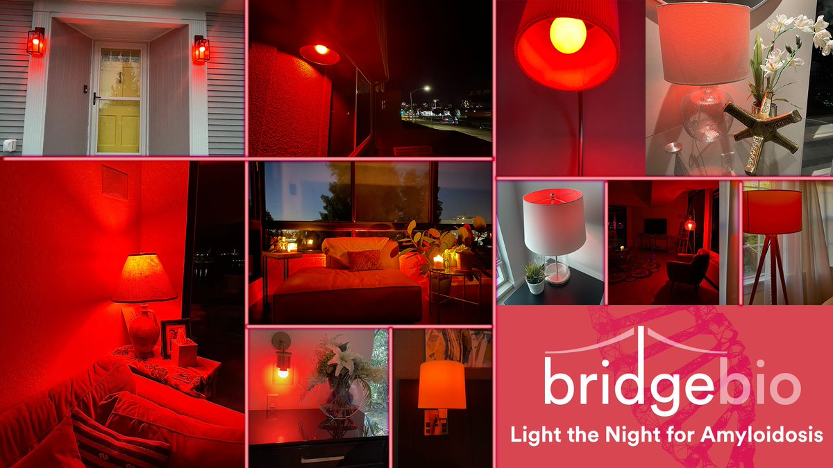 For this year’s Light the Night, we gifted BridgeBio colleagues with red lightbulbs in hopes of spreading awareness around #AmyloidosisAwarenessMonth and the condition’s vast unmet need. Join us in the cause: bit.ly/3IbZrPR