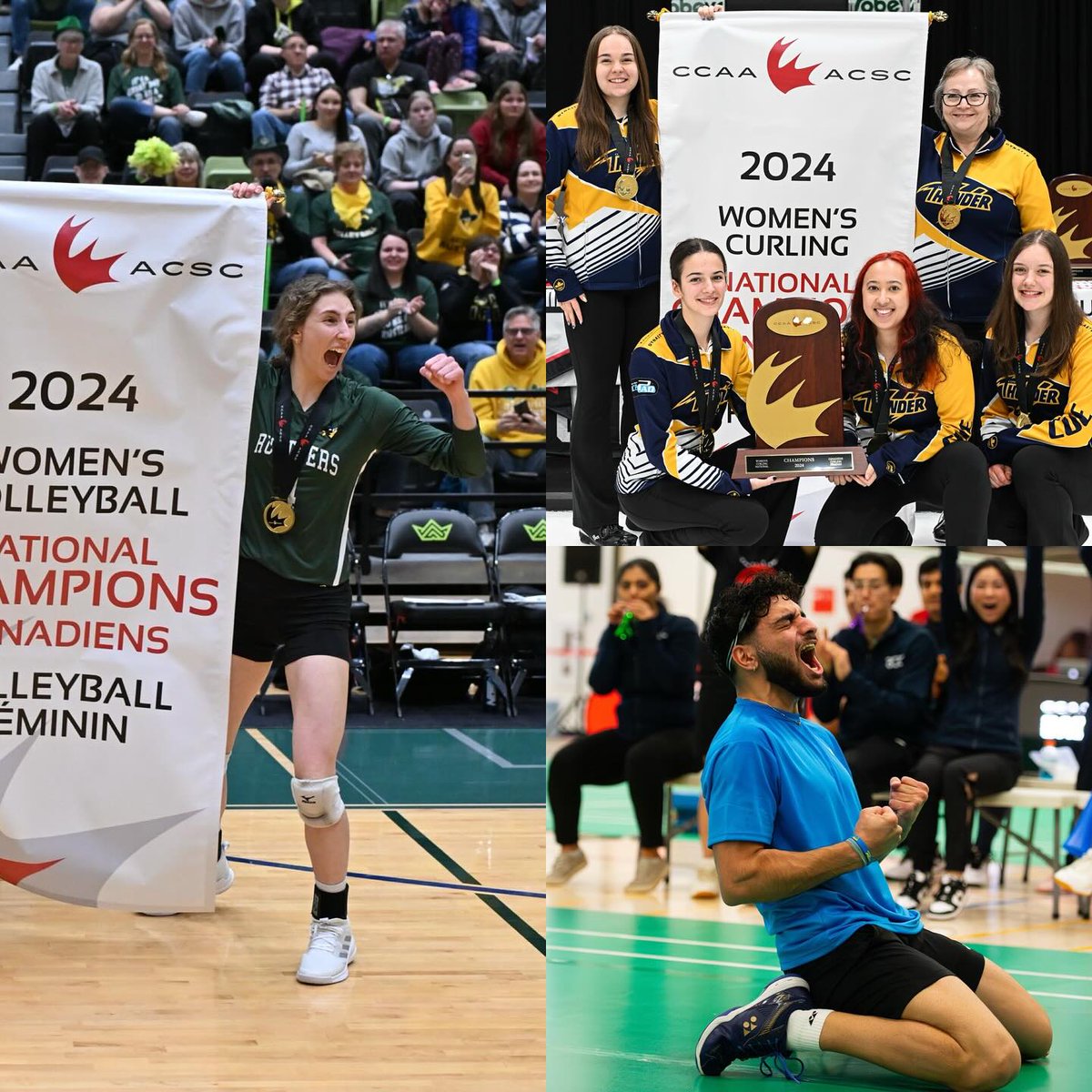 ACAC_Sport's tweet photo. The ACAC secured SIX gold medals in addition to their four VB and BB titles, along with 3 silvers and 4 bronzes across multiple sports.
 
ACAC members, Red Deer and Lakeland, proudly hosted two memorable CCAA National Championships this season.

#ACACsport | #CCAAsuccess https://t.co/YzujSDzZOe