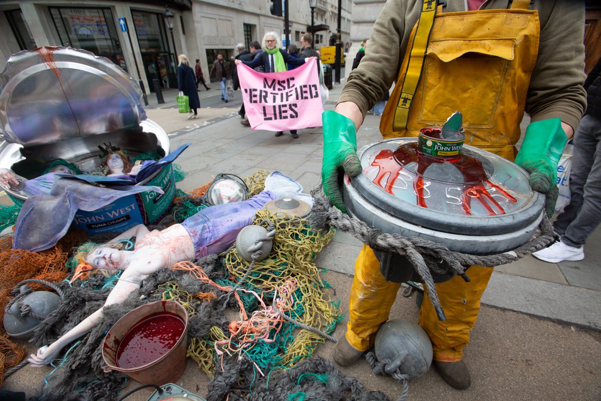 BREAKING! Today we targeted a @Tesco near Piccadilly Circus in London for selling cruel, unsustainable John West #tuna. This famous brand is owned by @thaiuniongroup who for years have been sourcing yellowfin tuna from Spanish fisheries that slaughter turtles, sharks & whales.💥