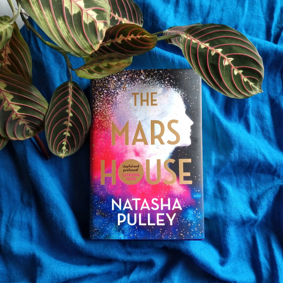 I apologise in advance to my friends & colleagues & strangers on the internet. #TheMarsHouse by Natasha Pulley is the best book I've read so far this year and I fear I MIGHT NEVER shut up about it!! 

🌍🚀💙💫🌙

➡️ Full review on my instagram shorturl.at/aDKY2