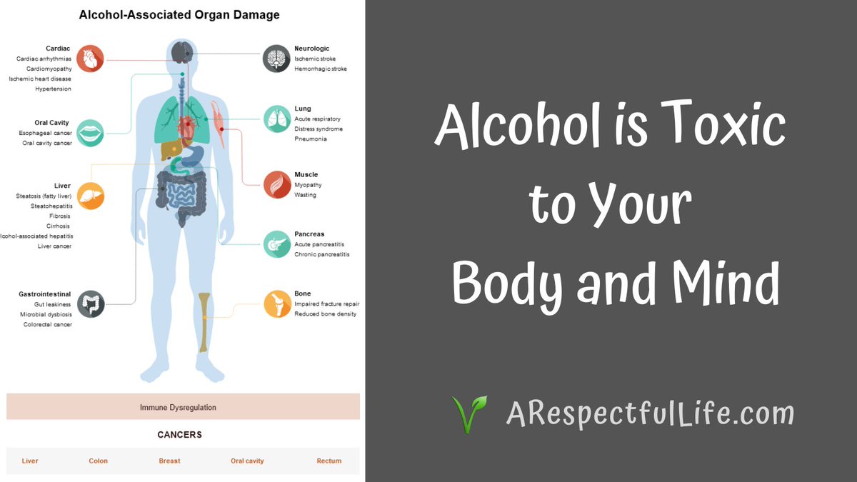🥴Alcohol is Toxic to Your Body and Mind! ☠️ Alcohol is toxic to EVERY organ in the body, has deleterious effects on the mind, DESTROYS the gut microbiome, compromises the immune system, and causes cancer. It also is addictive and wreaks havoc on relationships and families.