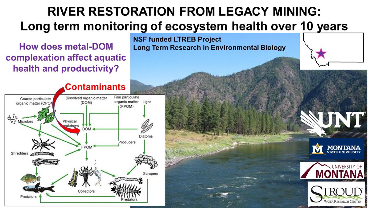 Multiple opportunities to join the Lab D'Andrilli! Are you curious about environmental chemistry and carbon cycling? Want to work in a collaborative setting @UNTScience and with experts from around the world? Reach out to learn more and apply today! julesdandrilli.wixsite.com/research