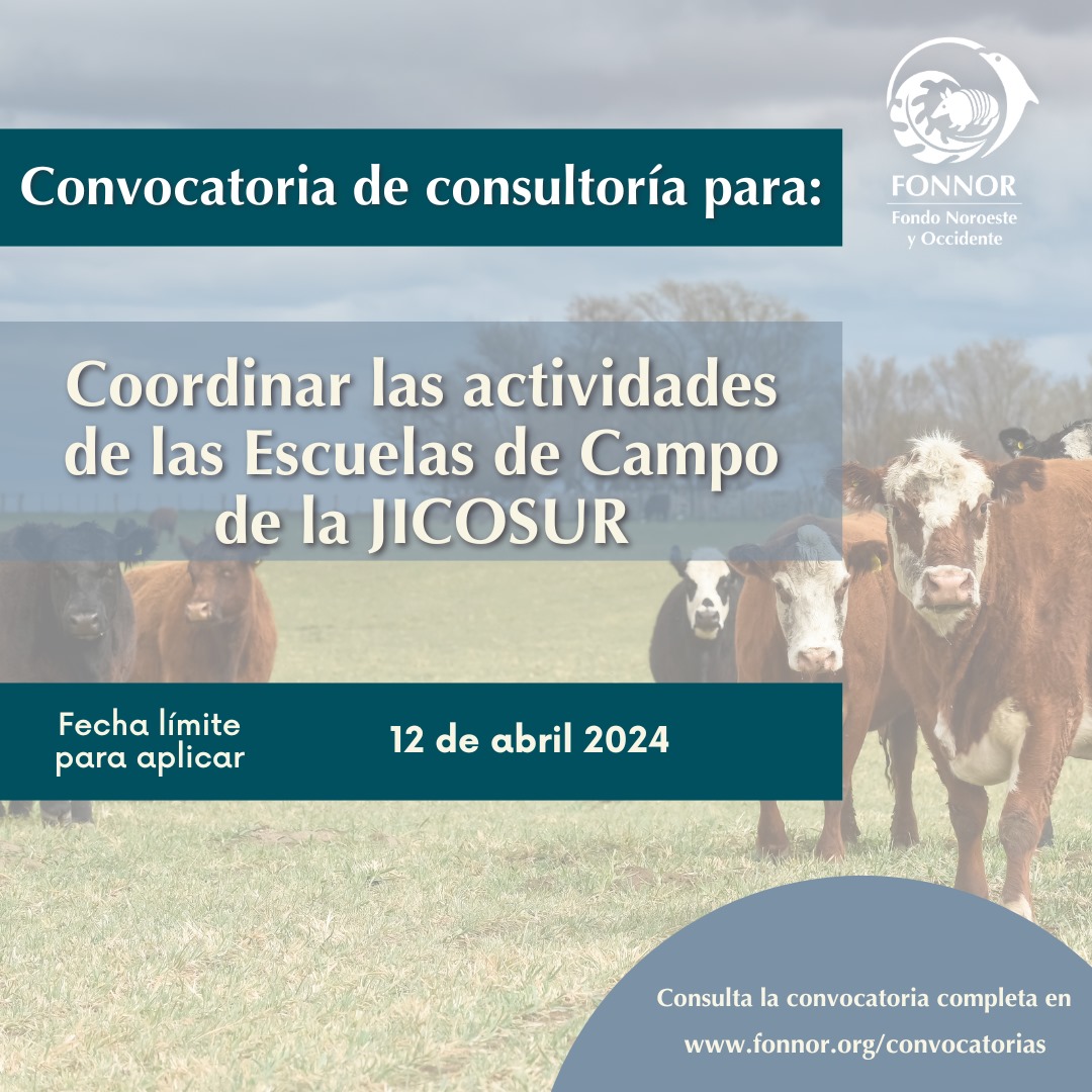 ¡Nueva oportunidad! 📢
Estamos buscando a una persona consultora para coordinar las actividades de las Escuelas de Campo 🐄 de la JICOSUR. Conoce más detalles en fonnor.org/convocatorias
🗓 La fecha límite para aplicar es el 12 de abril 2024