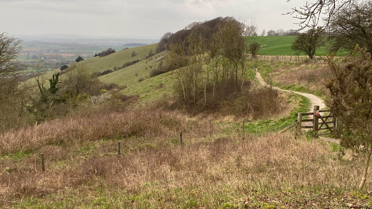 Road trip Tuesday - with the added bonus of a wander at Aston Rowant NNR (and a bit of the Ridgeway) #Oxfordshire #Oxford