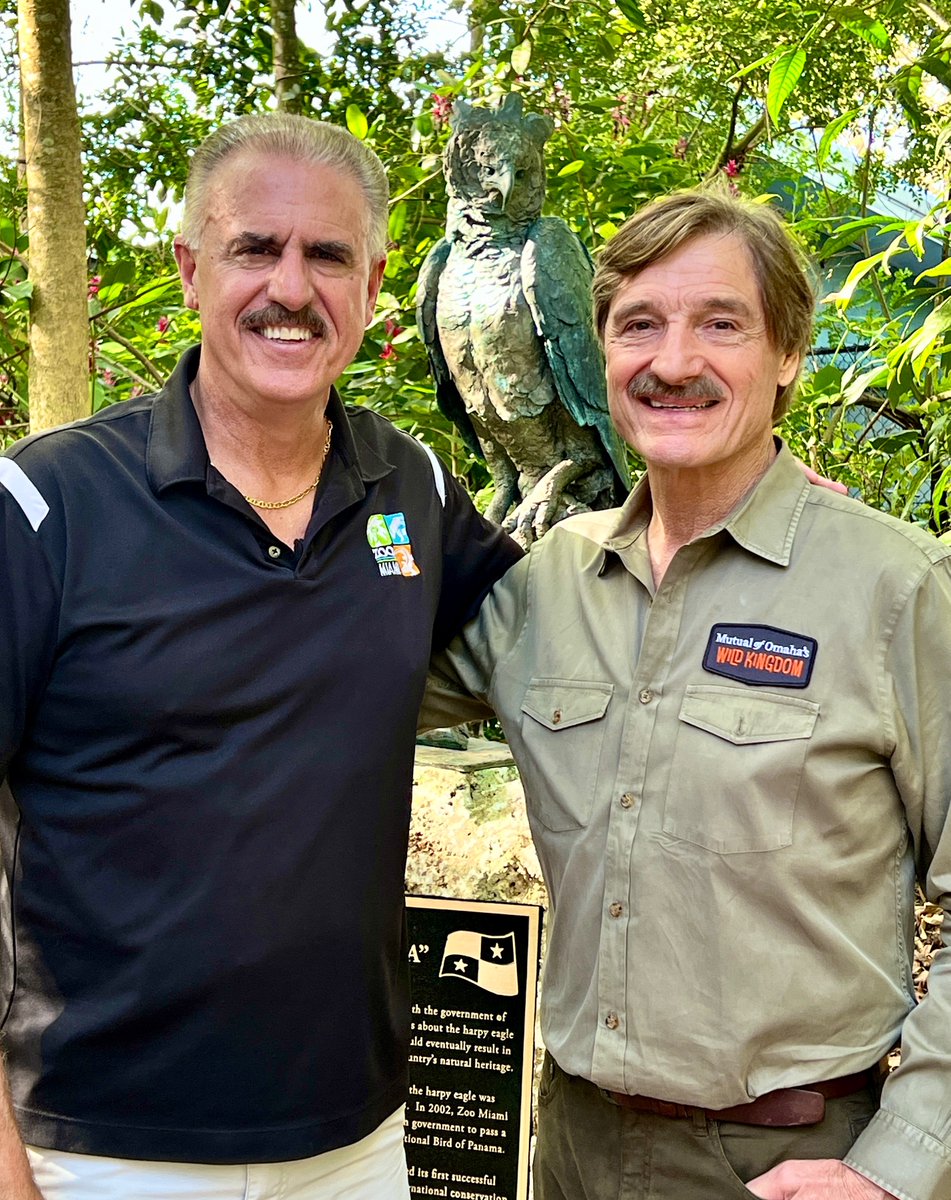 Spent the morning reconnecting with Peter Gros and the crew from 'Mutual of Omaha's Wild Kingdom.' We spoke of harpy eagles. This is the show that inspired me to have the career I have today. Peter and I shared memories of our dear friend and mentor, Jim Fowler. A great morning!