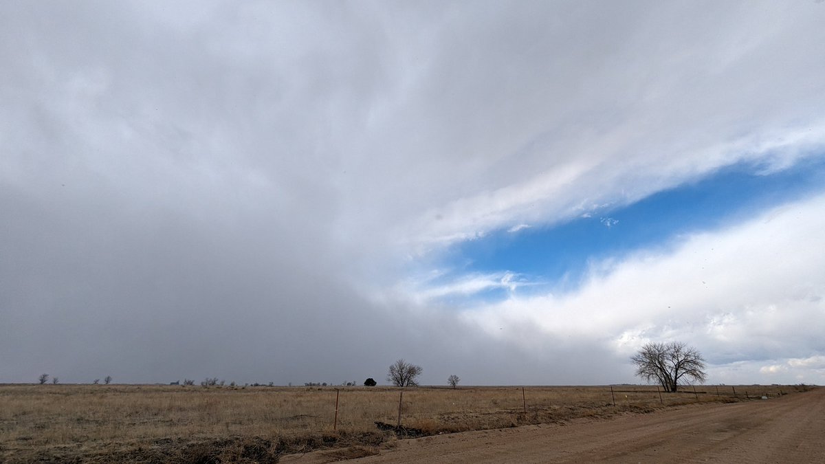 Snowfoot #cowx