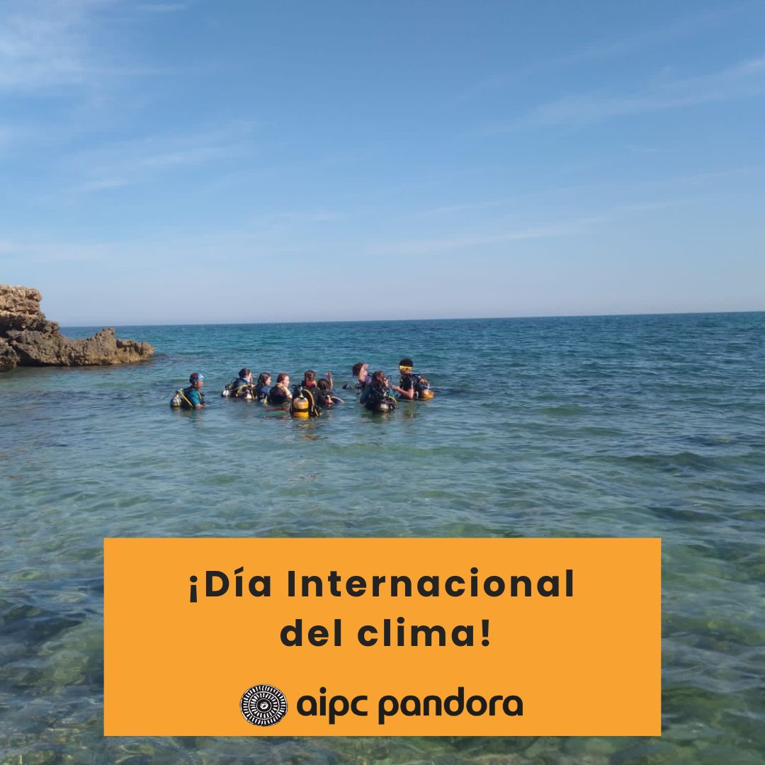 Jóvenes del mundo: ¡El futuro está en vuestras manos! Hoy es el día internacional del clima, recordad que cada acción cuenta para construir un mundo más verde y sostenible. ¡Seamos el cambio que el planeta necesita! 🌍💚 #JuventudPorElPlaneta #Sostenibilidad"