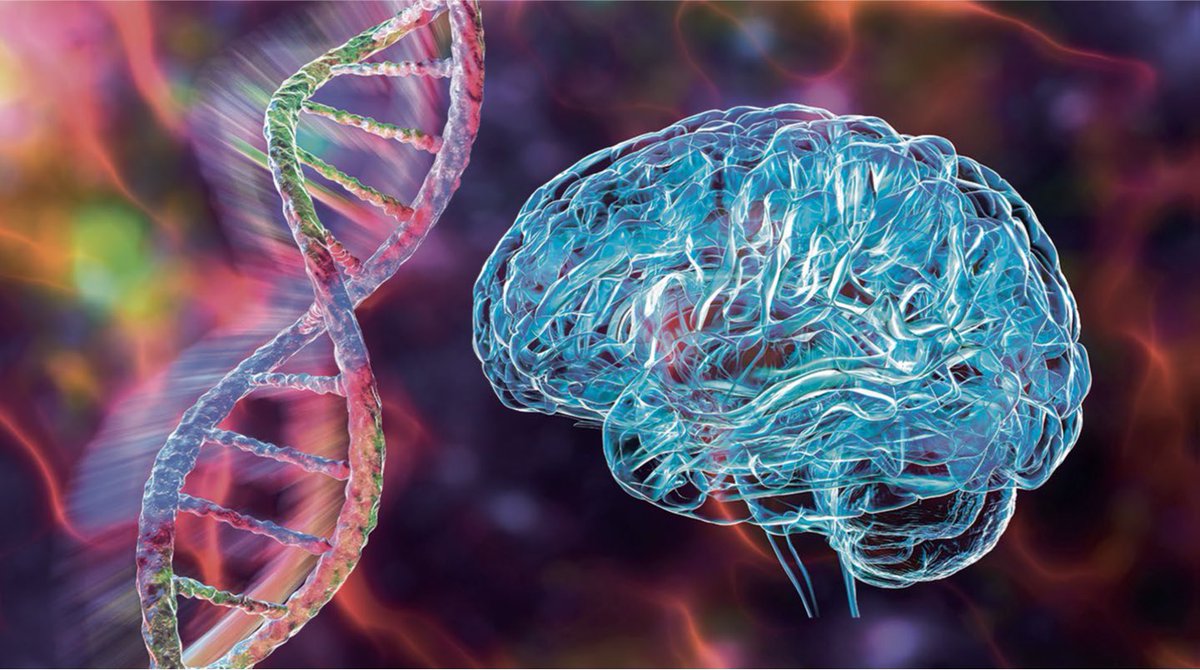 So excited to see the highlight by @natrevbioeng on our recent work of brain editing using self-deliverable CRISPR genome editors @doudna_lab.