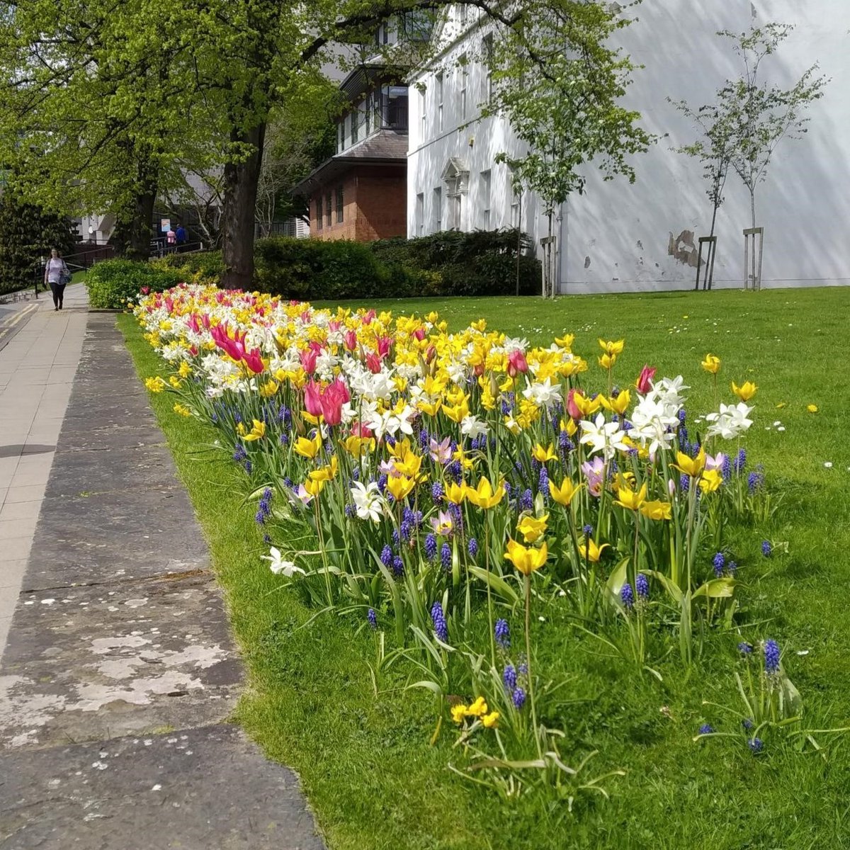 🌱 14,860 bulbs planted 🌳 Over 200 shrubs and trees replaced 😅 700 combined hours worked every week It takes a lot of hard work to make sure our campus is in top condition. As Spring begins, recognising the efforts of our Grounds & Gardens staff.