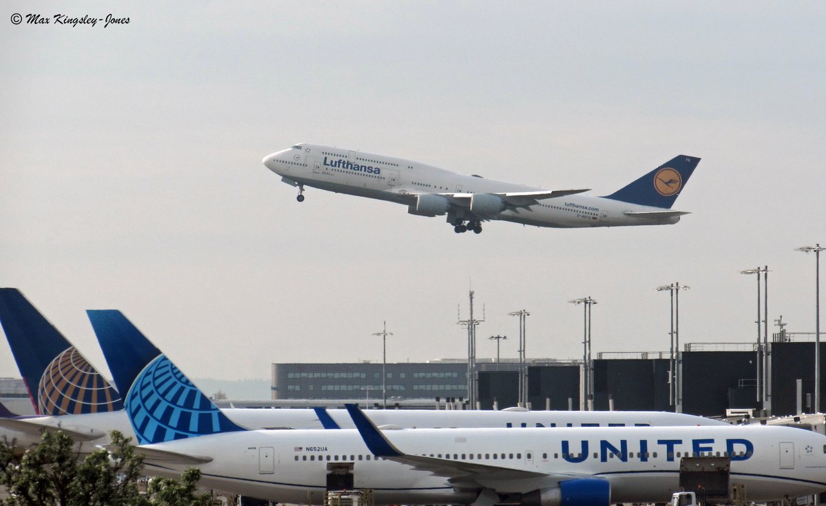 Max Kingsley-Jones tweet media