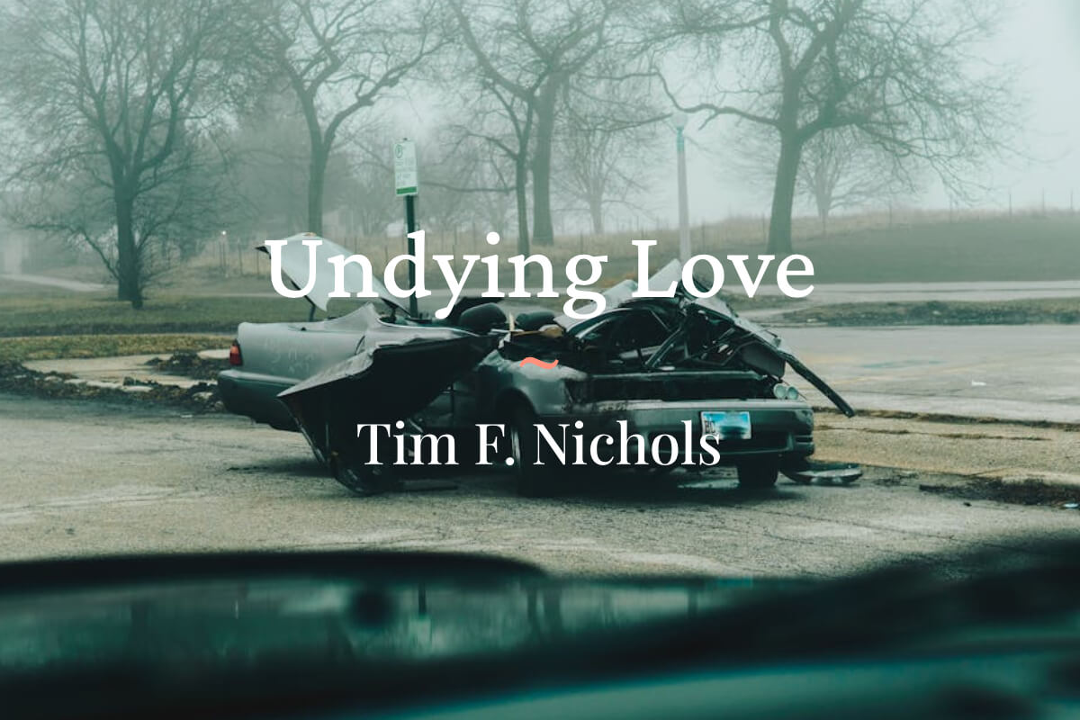 Undying Love by Tim F. Nichols #flashfiction #noir #writingcommunity #readingcommunity #publishing bristolnoir.co.uk/undying-love-b…