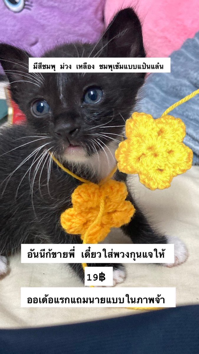 j'aime dessiner | คิวว่าง ( ไม่ตอบทักซ้ำได้นะคับ ) tweet media