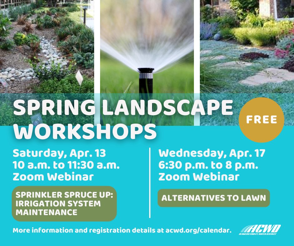 ACWD and BAWSCA (Bay Area Water Supply and Conservation Agency) are partnering to host two free landscape workshops! Register online at acwd.org/calendar.