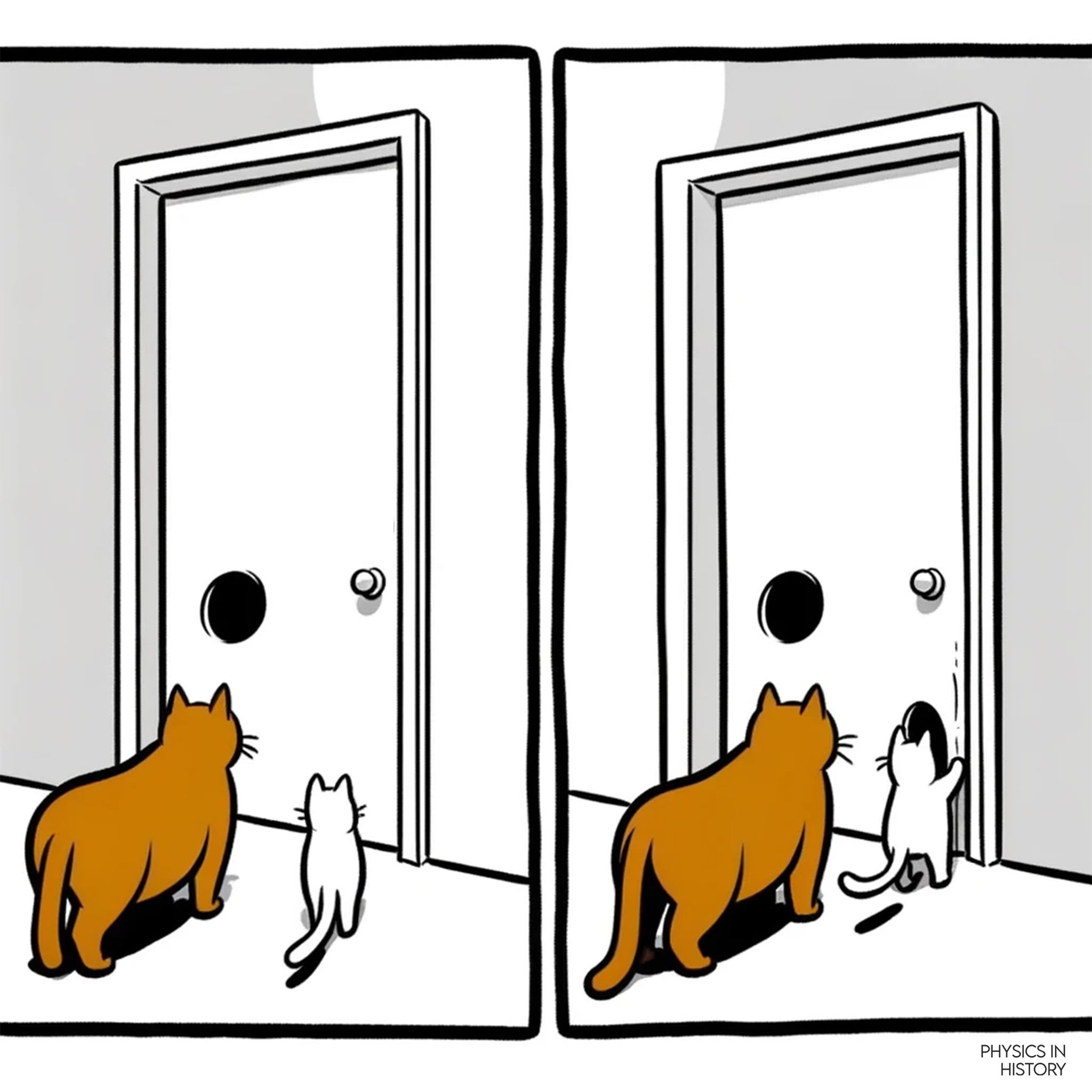Physics In History on X Isaac Newton while working on the laws of motion reportedly invented the cat flap. Newton a cat lover was said to have cut two holes in his