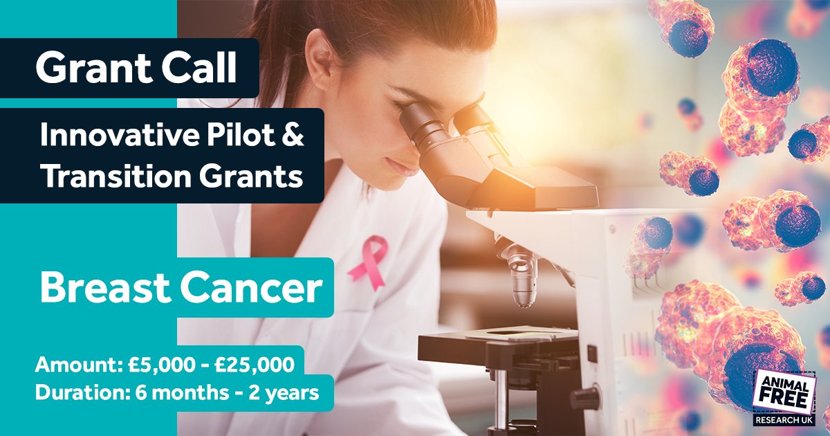 BREAST CANCER RESEARCH GRANT CALL: Innovative animal replacement pilot and transition grants in breast cancer research. For full details - animalfreeresearchuk.org/grants/pilot-t… Deadline for applications is 5 pm on 19th April 2024. #breastcancer #animalfreeresearch #grants #researchgrants