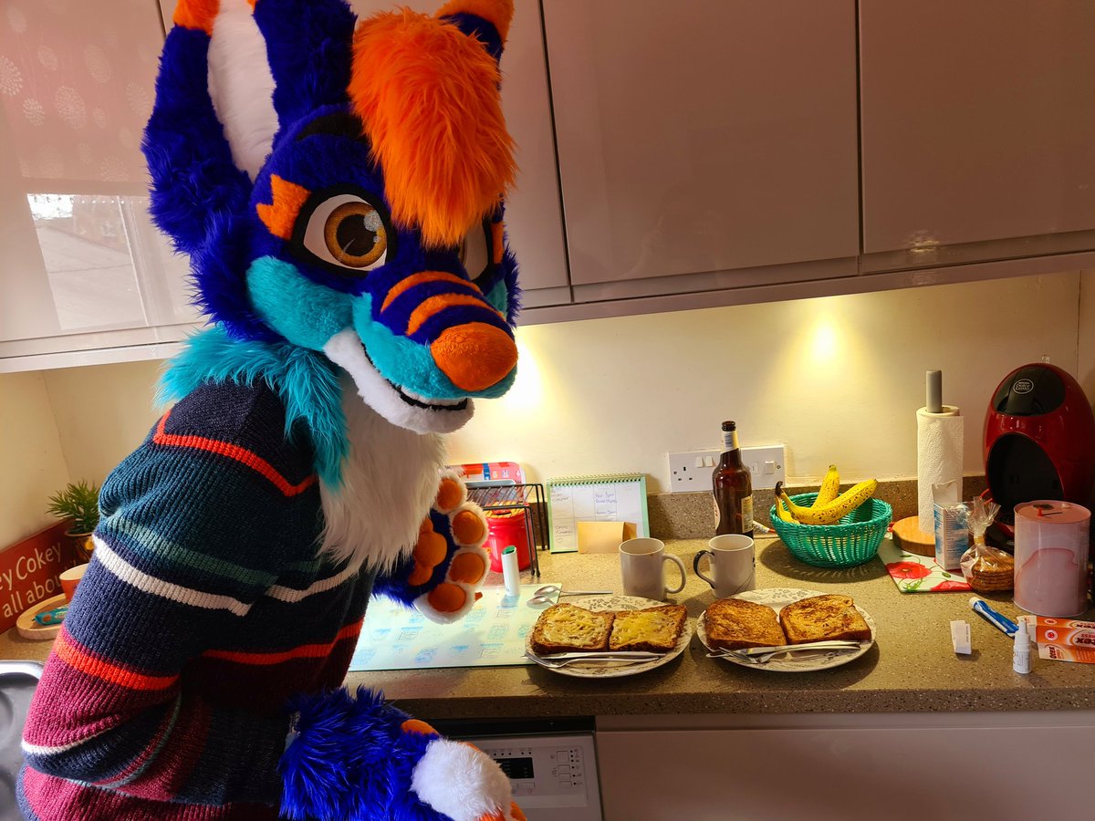 Gibb 💛🦈 🔜 CFZ26 tweet media