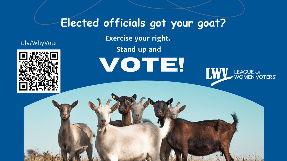 DanceTheVoteStl's tweet photo. #vote2024 https://t.co/p2e6uWwoi3