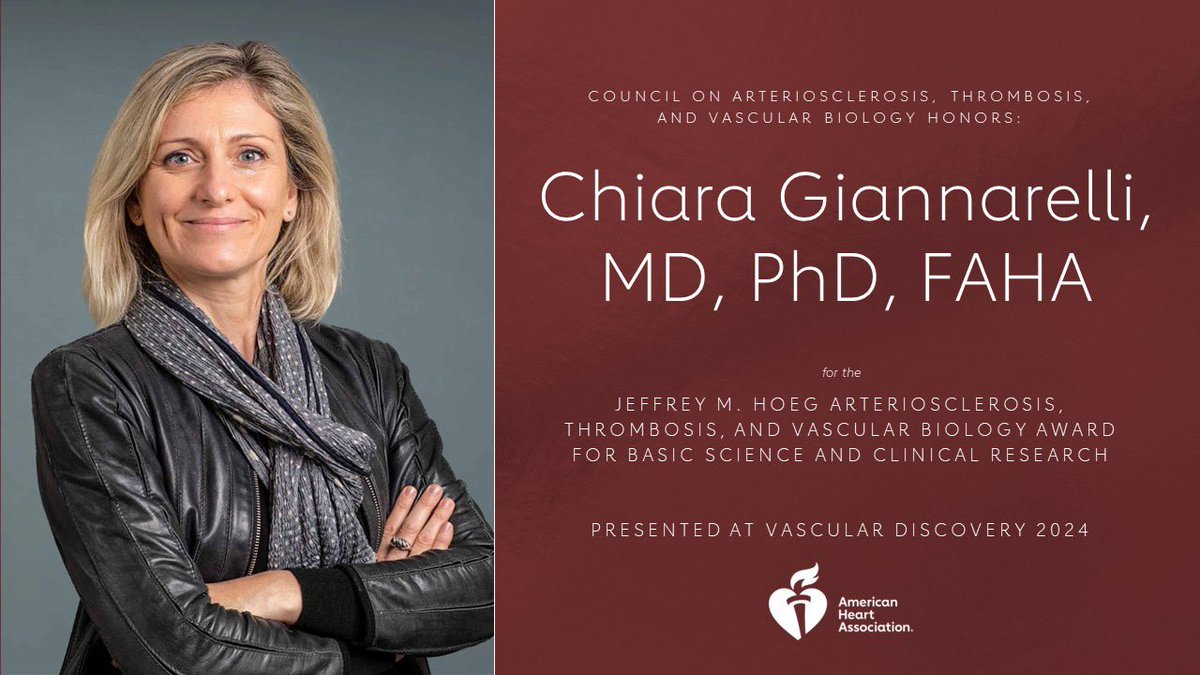 @ChiaraGiannare1’s science/commitment to advancing the AHA mission embody the spirit of the Hoeg award created in memory of Dr. Hoeg. We are thrilled to announce her as our invited lecturer who will present a lecture of her choice during the Sat. Plenary @ #VascularDiscovery24 🔬