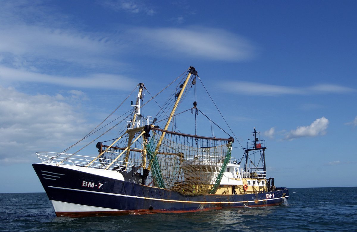 iscarecruitment.co.uk/job/operations… 
Marine Operations Coordinator role in today.  Really exciting and varied role for someone looking for a challenge in a marine environment #marinejobs #safetyfirst #recruitment
