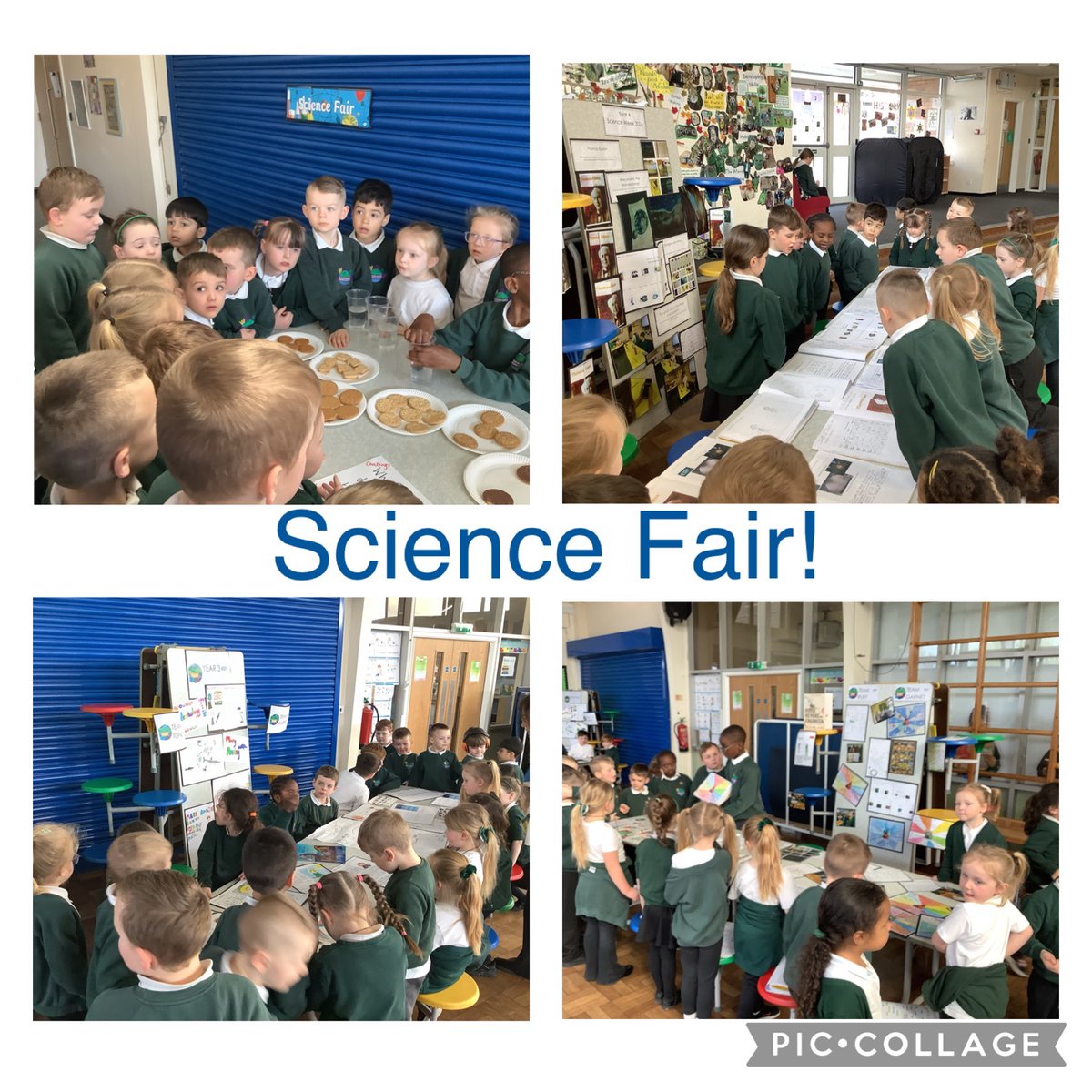 Reception had a fantastic afternoon exploring, learning and observing around the @TeamManorGreen  #ScienceFair