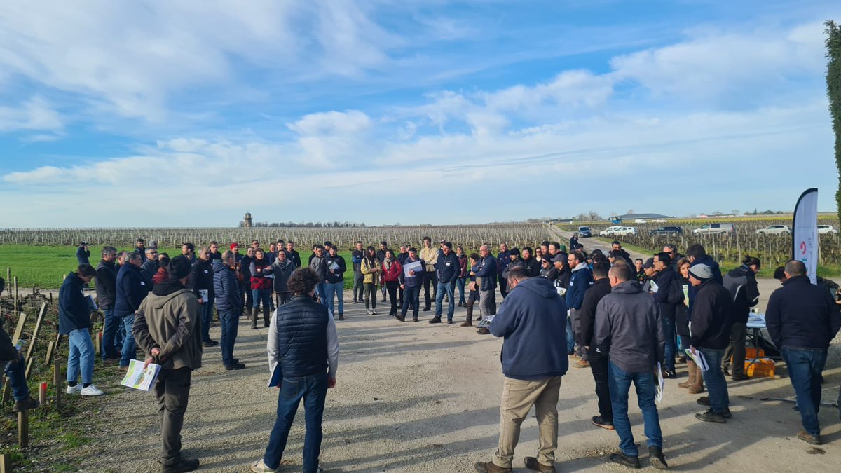 vert_lavenir's tweet image. Découvrez notre dernier article sur la couverture des sols viticoles en Gironde.

vert-lavenir.com/couvrir-les-so…

@gs_naca @NegoceAgricole @EtsNau @GroupeIsidore