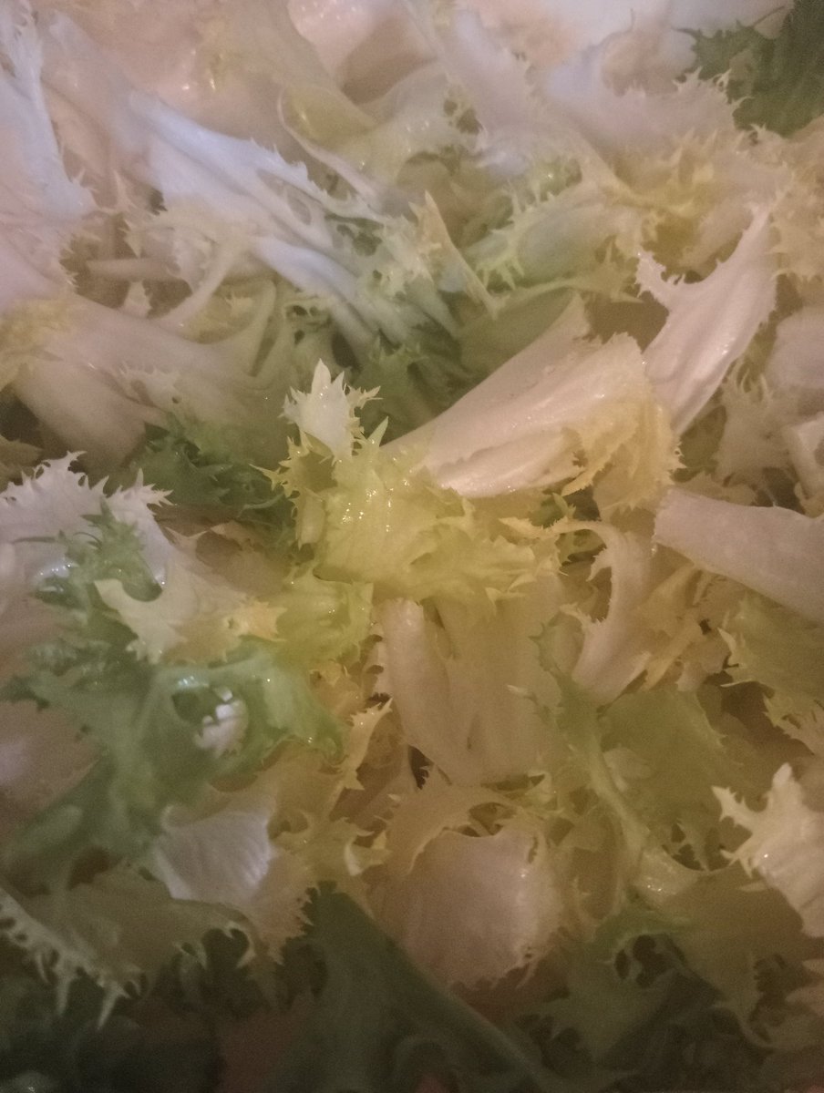 rugiada71's tweet photo. Ho trovato in un super a Padova delle scarole bellissime, belle fresche, piene. Erano in offerta e nessuno le fumava e pensavo alle Galline padovane che non sanno neanche cosa sono le #scarole. Signore perdona tutta sta gente del Nord che non capisce nuCa https://t.co/yqjMlv6mPn
