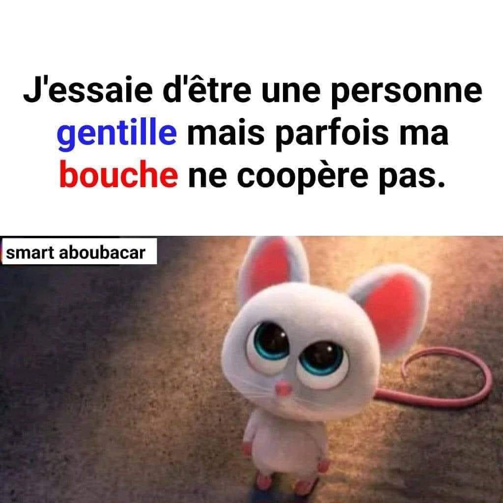 The Joconde 🐦 (@viedelajoconde) on Twitter photo 