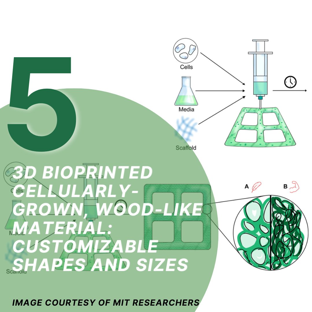 xStaceyMurphy's tweet photo. Imagine growing buildings from a cellular level up in all kinds of customizable shapes and sizes. It will start with furniture, but soon will become walls and structure by 2030. (my prediction) Image from MIT Labs https://t.co/WqSqWILz3N