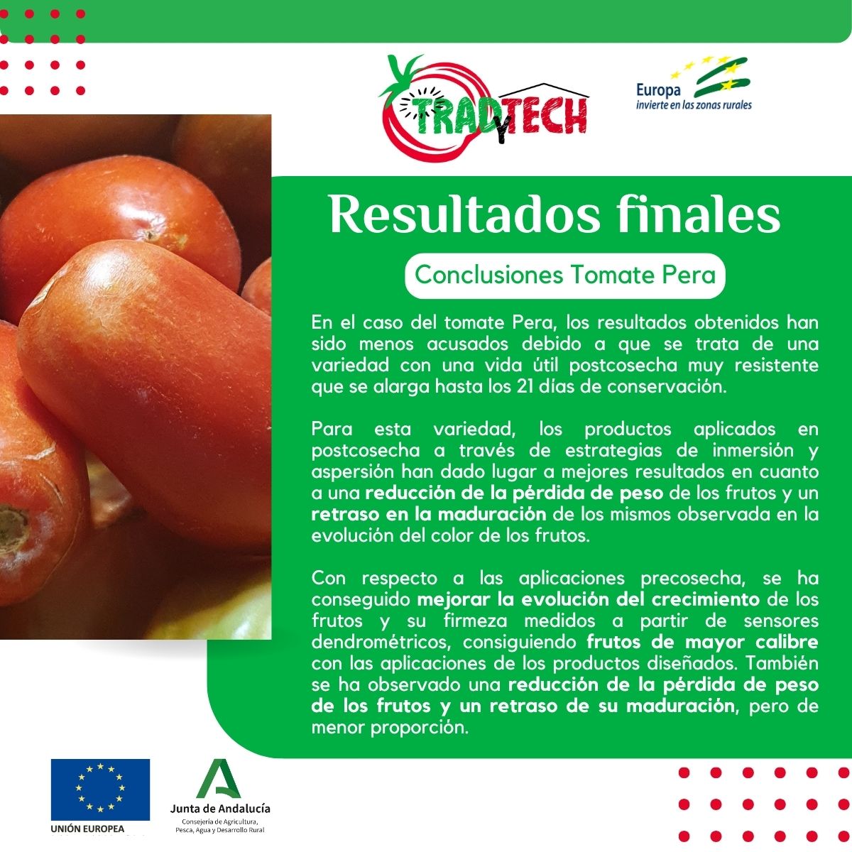 RESULTADOS FINALES GO TRADYTECH!! Estrategias de manejo en la cadena productiva de cultivo de tomate, mediante el 𝙙𝙚𝙨𝙖𝙧𝙧𝙤𝙡𝙡𝙤 𝙙𝙚 𝙥𝙧𝙤𝙙𝙪𝙘𝙩𝙤𝙨 𝙣𝙖𝙩𝙪𝙧𝙖𝙡𝙚𝙨 @UE_ANDALUCIA @AndaluciaJunta @AgriculturAnd @CTTecnova @aln_sa @ecoinver @guadalhorce_eco #Tardytech