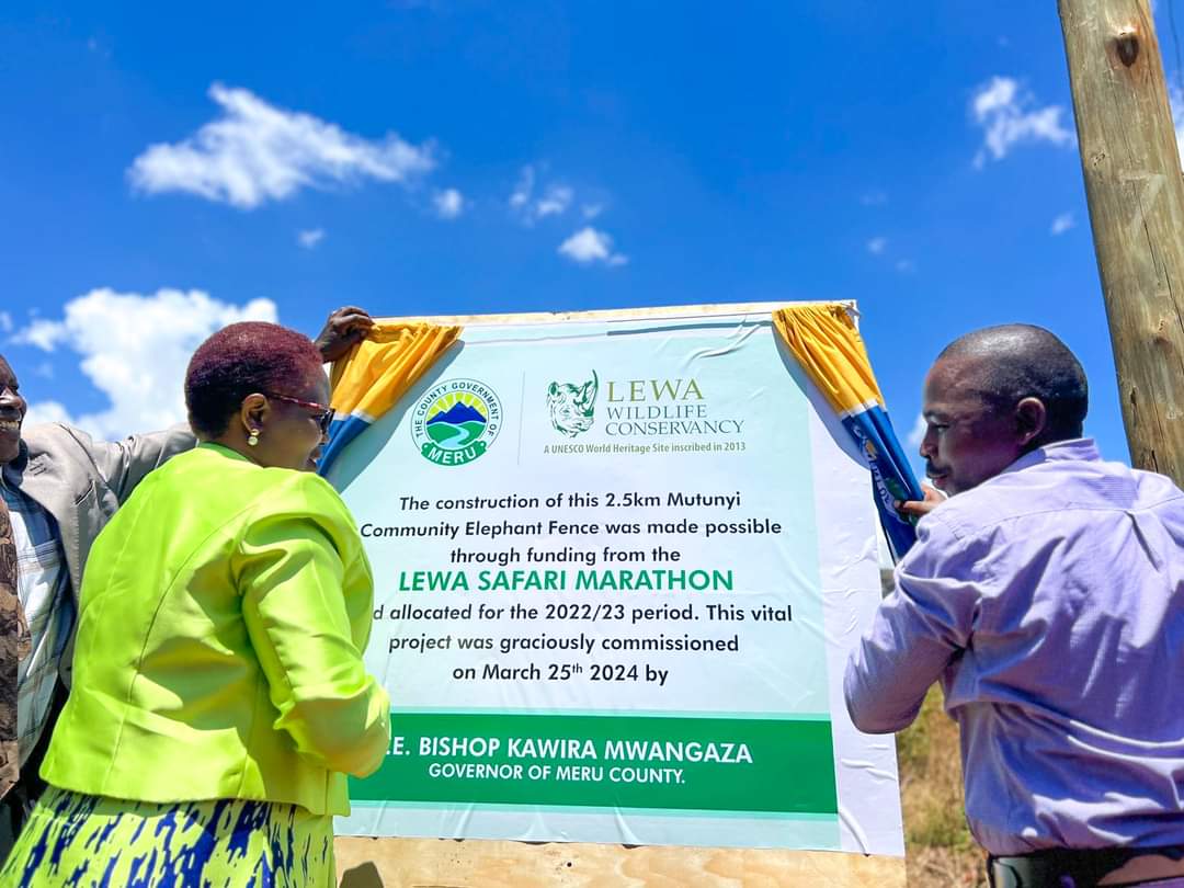 DiscoverMeru's tweet image. Yesterday The Meru County Governor, H.E  Kawira Mwangaza, presided over the official unveiling and commissioning ceremony of the 2.5km Mutunyi Community Elephant Fence in Buuri Sub-County.

For more information ,click on the link below 
discovermeru.co.ke/6367-2/

#tembeameru