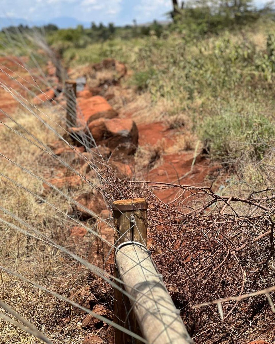 DiscoverMeru's tweet image. Yesterday The Meru County Governor, H.E  Kawira Mwangaza, presided over the official unveiling and commissioning ceremony of the 2.5km Mutunyi Community Elephant Fence in Buuri Sub-County.

For more information ,click on the link below 
discovermeru.co.ke/6367-2/

#tembeameru